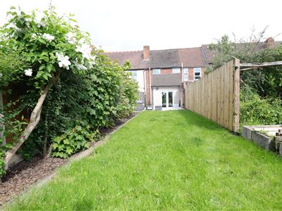 Picture 19